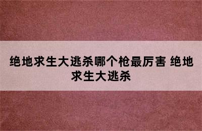 绝地求生大逃杀哪个枪最厉害 绝地求生大逃杀